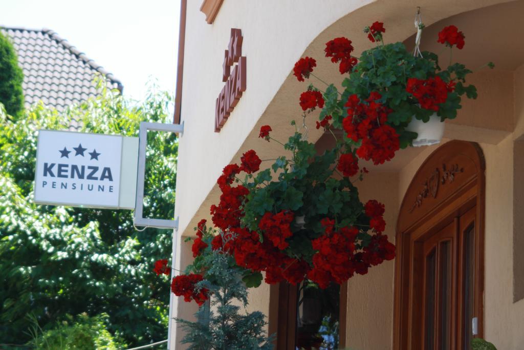 Pensiunea Kenza Târgu-Mureş Exteriör bild